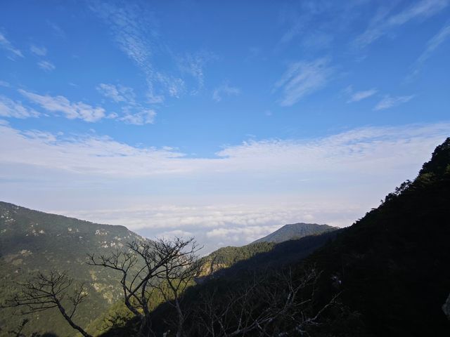 廬山，這座被譽為「人文聖山」的避暑勝地，正靜靜等待你的到來。讓人完全沉浸於它的詩意與清涼。 行程安