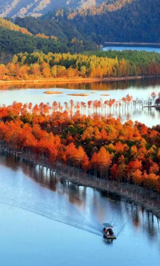 The Autumn in Southern Anhui is a must-see in full screen!!!
