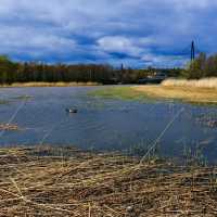 🌲 Helsinki’s Best Nature Spots: Where the City Breathes Green
