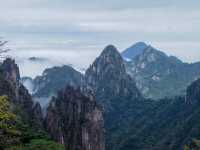 團結松，雨傘松，大王松皆迎客松