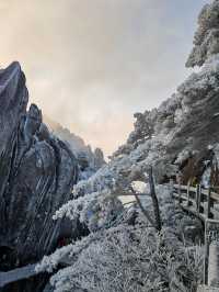 黃山冬日仙境！保姆級雪景攻略+冷門機位大公開 杭州出發2h直達！黃山雪景封神了家人們！ 