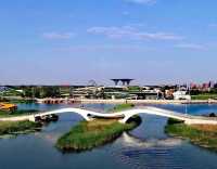 華北秘境衡水湖觀鳥指南,速存!