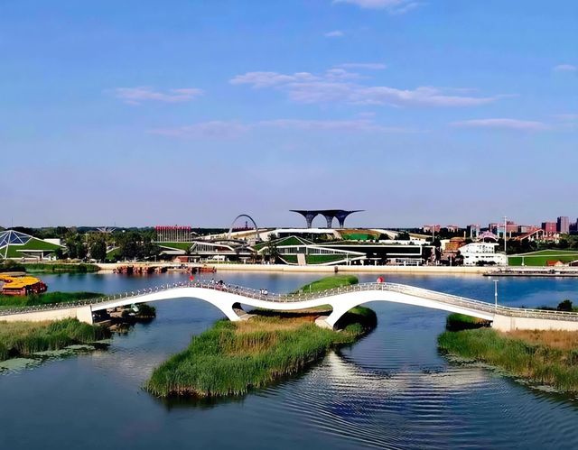 華北秘境衡水湖觀鳥指南,速存! 華北秘境衡水湖觀鳥指南,速存!