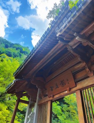 Explore the fairyland on earth and unlock the stunning secret of Baizhangji, are you ready? 
