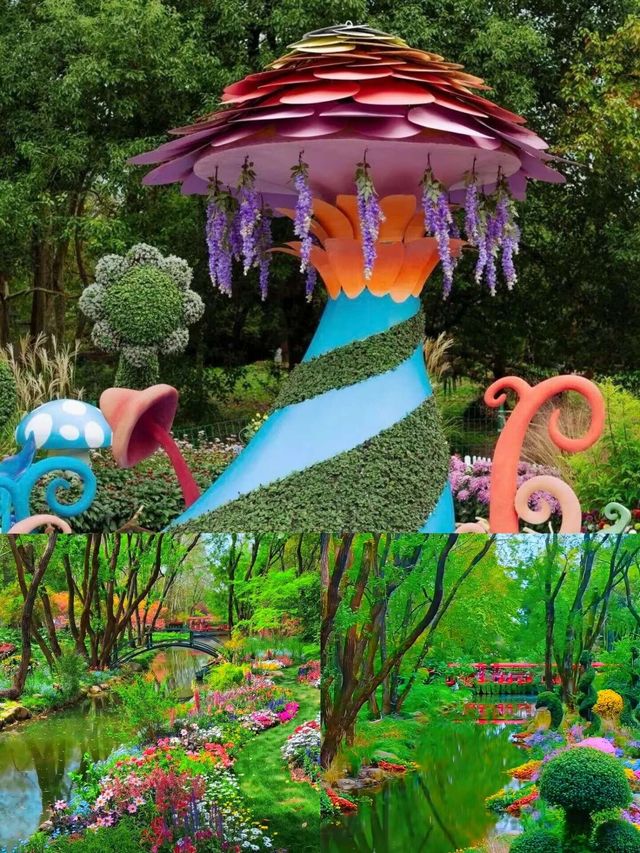 上海小眾打卡地！莫奈花園同款粉黛海少女心炸裂！