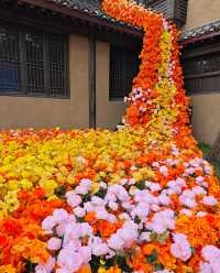 國慶後錯峰指南｜開封菊花展全攻略