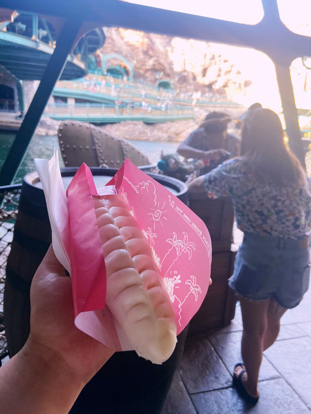 Tokyo DisneySea Bliss✨  