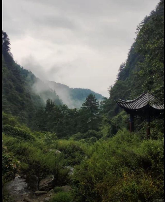 0元get千年古城！大理免費遊玩攻略
