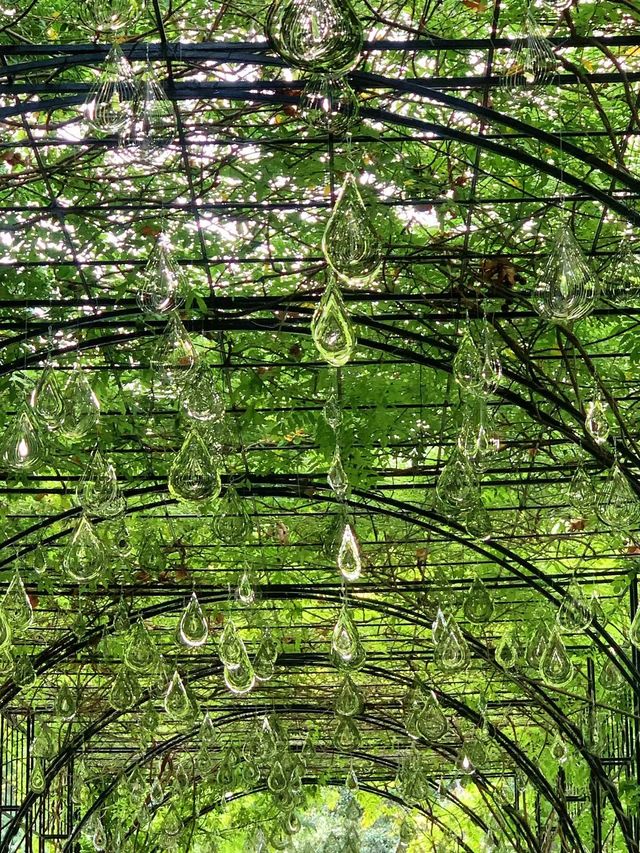公園的浪漫，復興公園不會淋濕的雨