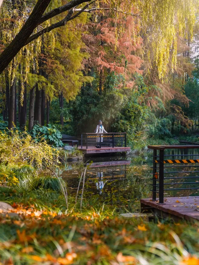 還有1個月｜魔都市區的調色盤公園即將上線