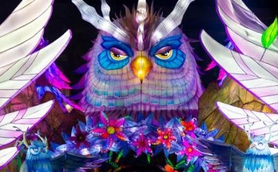 波士頓之光：奇妙夜間燈展體驗