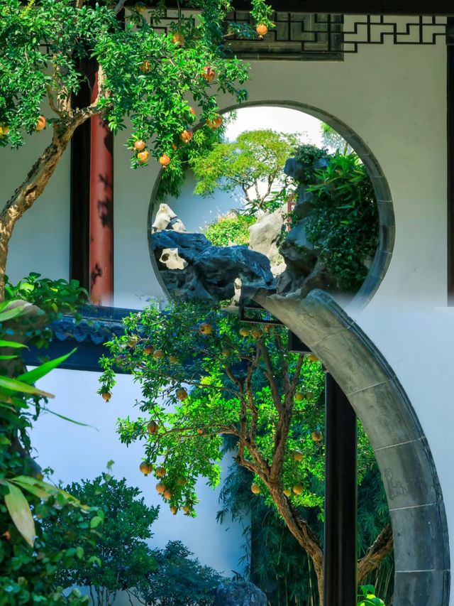 蘇州小眾園林｜詹氏花園，免費又出片！
