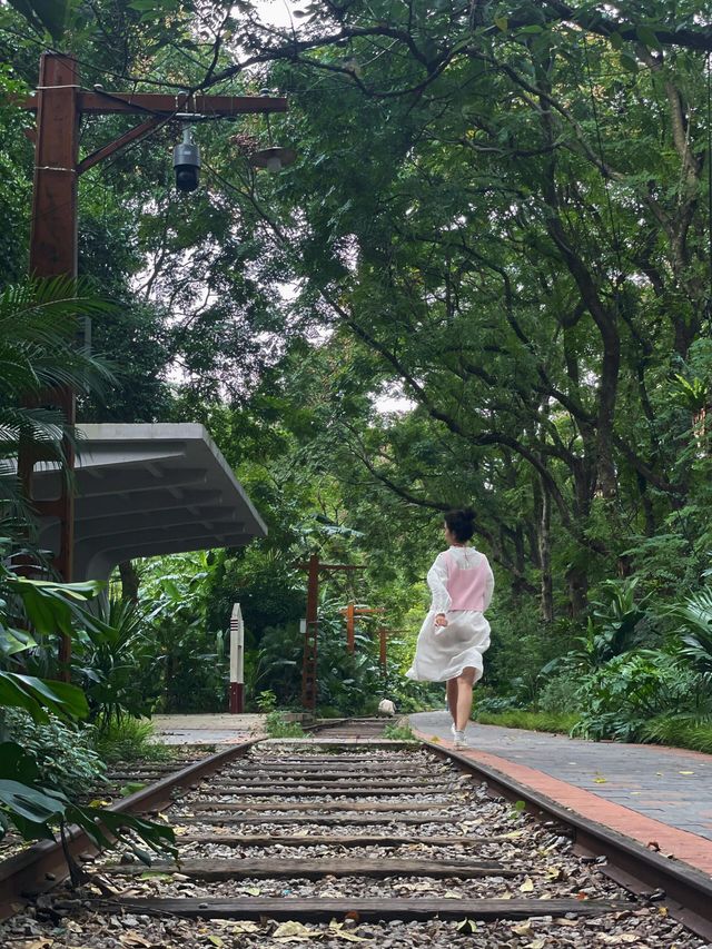 重慶最出片的休閒徒步道 重慶最出片的休閒徒步道