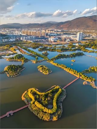 The strongest lotus fragrance in southern Yunnan