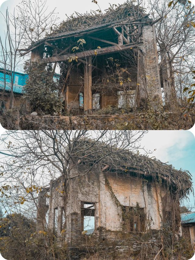 假期反向遊:藏在南寧近郊的金陵鎮,詩意田園藏不住的治癒感 假期反向遊:藏在南寧近郊的金陵鎮,詩意田園藏不住的治癒感