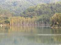挑戰中山「小九寨」!五桂山石寨水庫暴走全攻略,每一步都是風景