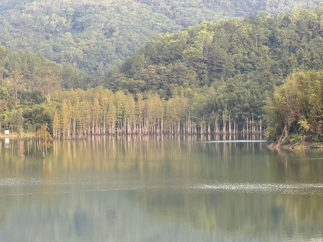 挑戰中山「小九寨」!五桂山石寨水庫暴走全攻略,每一步都是風景 挑戰中山「小九寨」!五桂山石寨水庫暴走全攻略,每一步都是風景