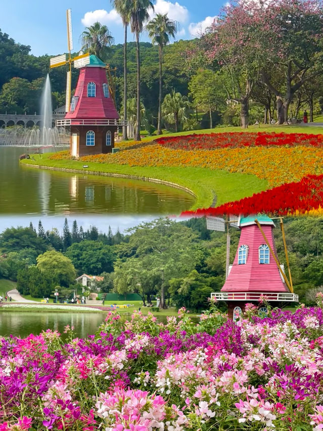 廣州 我宣佈這才是真正的花城! 廣州 我宣佈這才是真正的花城!