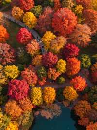 雲平山｜上帝打翻了秋天的調色盤小眾仙境太絕了