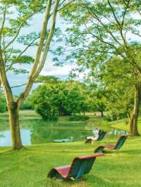 地鐵直達｜深圳小眾野餐露營公園