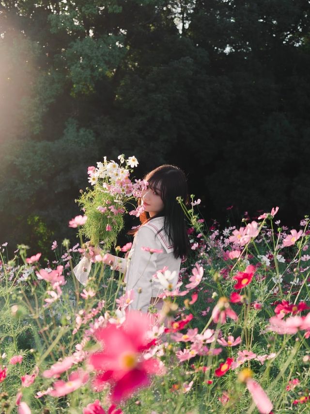 大阪長居植物園旅拍小師妹花海裡笑靨如花