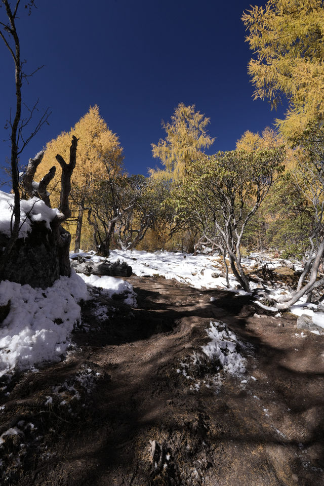 川西秘境|黨嶺葫蘆海 川西秘境|黨嶺葫蘆海