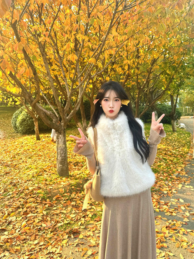 西安小眾賞秋秘境浐灞濕地公園銀杏打卡攻略