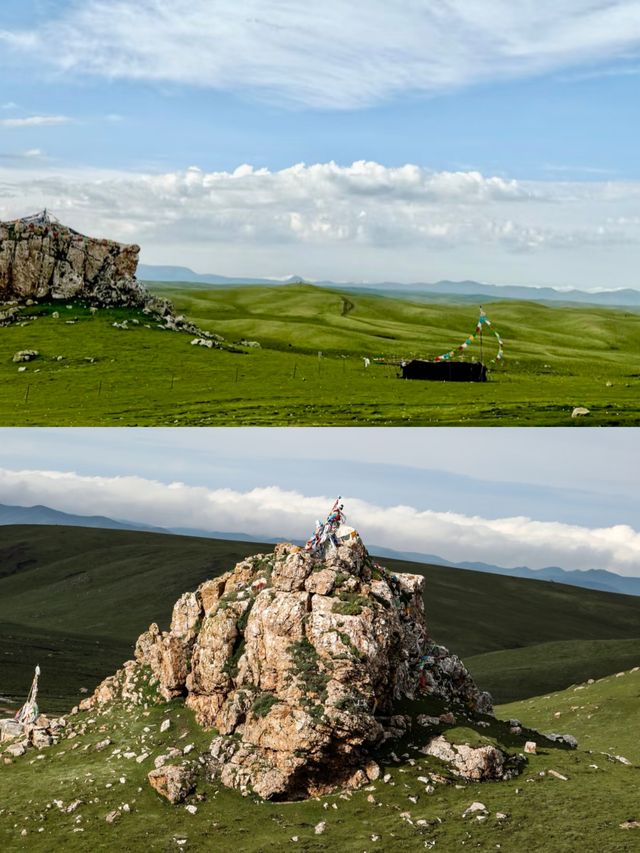 探秘甘南藏族自治州美仁大草原！