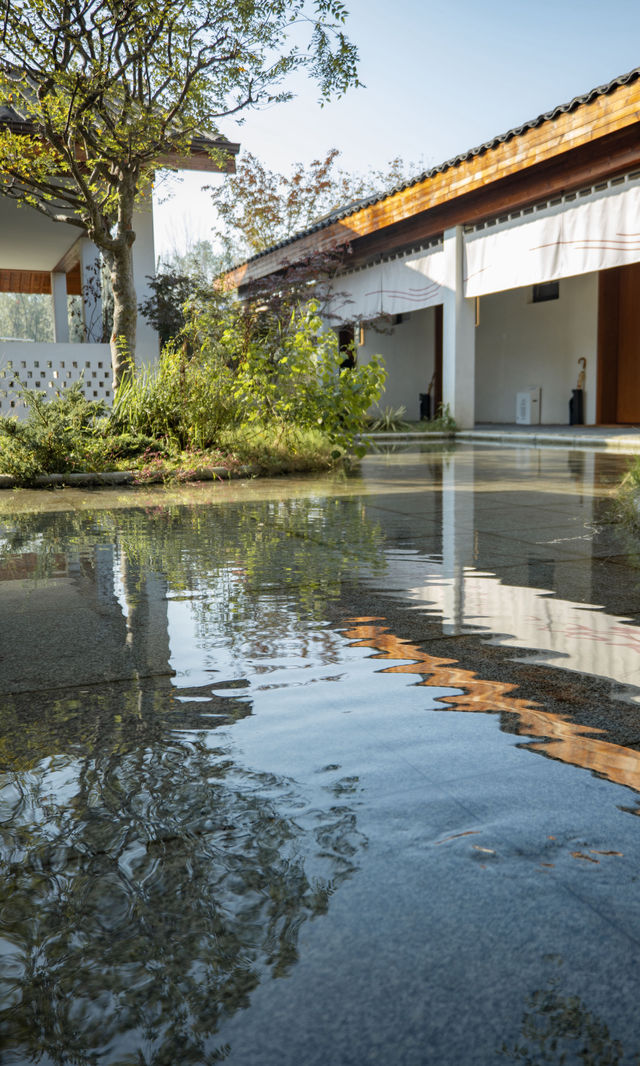 銀杏瀑布、紅葉滿山 鄭州周邊小眾賞秋路線 銀杏瀑布、紅葉滿山 鄭州周邊小眾賞秋路線
