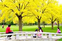 絕了！我喺甘肅搵到一個比九寨溝仲靚嘅彩林秘境！