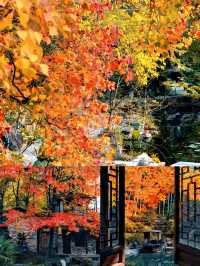 被忽略的小眾寶藏城市,六安秋色秘境