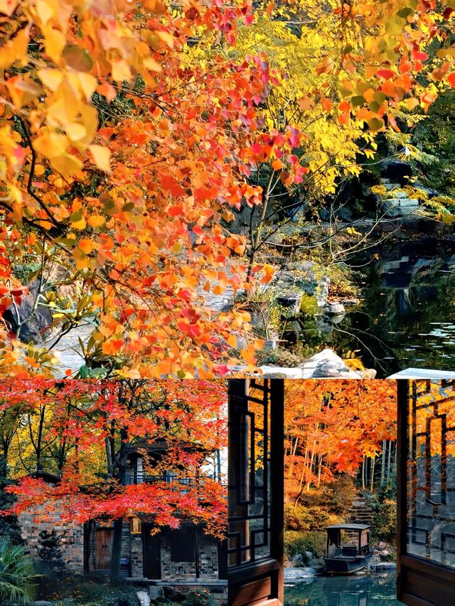 被忽略的小眾寶藏城市,六安秋色秘境 被忽略的小眾寶藏城市,六安秋色秘境