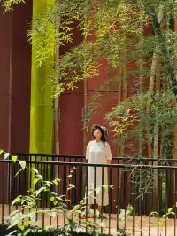 赤水竹海國家森林公園