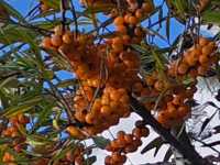 十月，在道孚至丹巴的路上，收集奇觀與色彩