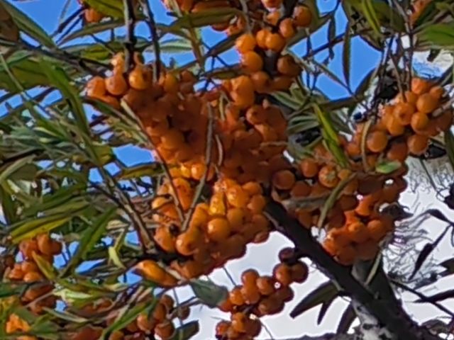 十月，在道孚至丹巴的路上，收集奇觀與色彩