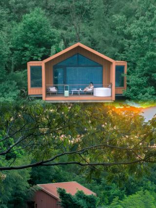 Can't keep it hidden anymore! A fairy tale treehouse has appeared on the top of the mountain in Zhuji