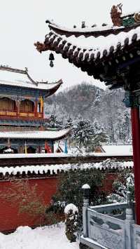 天水淨土寺：隱於麥積山麓的千年唐風禪境