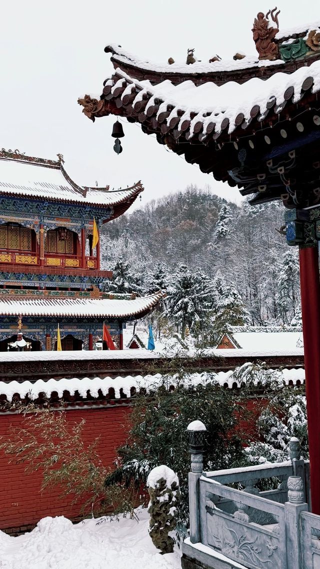 天水淨土寺：隱於麥積山麓的千年唐風禪境