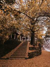 人少!景美!秋季來衡山到這才能值回票價