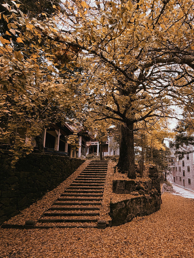 人少!景美!秋季來衡山到這才能值回票價 人少!景美!秋季來衡山到這才能值回票價