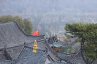 洗衣免費,鴻達酒店這波操作真係好貼地。