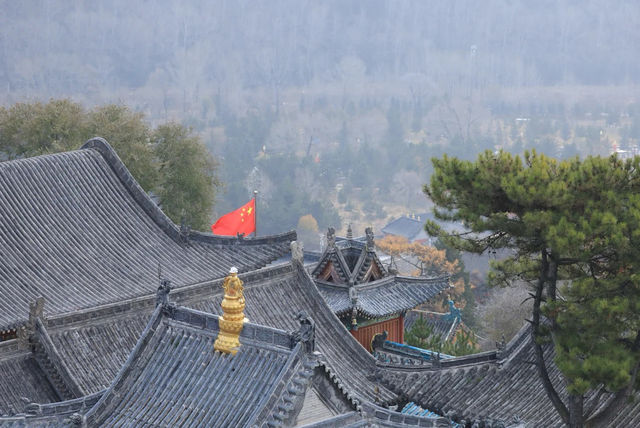 洗衣免費,鴻達酒店這波操作真係好貼地。 洗衣免費,鴻達酒店這波操作真係好貼地。