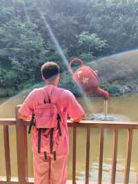 鄭州大熊山摘星樓完結篇 主峰奔赴大鴻寨之路