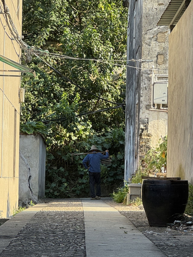 城市考古｜次塢古鎮和它的傳世打面