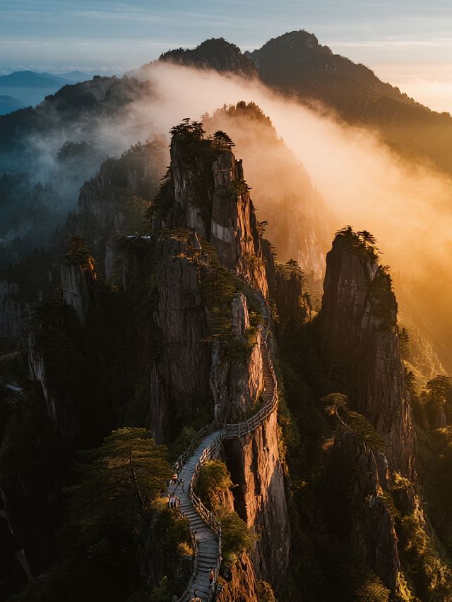 帶娃遊莽山！不用爬山的雲海親子之旅