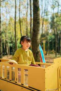 杭州出發1h,銀杏林農場是秋冬遛娃天花板