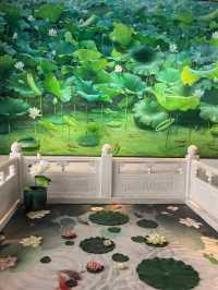 南京被嚴重低估的寶藏景點拍照美爆了