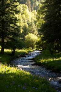 天祝,一個25℃的避暑天堂!在雪山腳下邂逅最美藏鄉