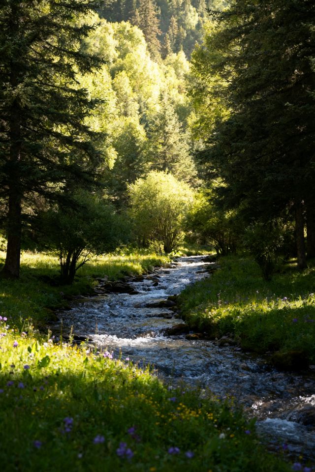 天祝,一個25℃的避暑天堂!在雪山腳下邂逅最美藏鄉 天祝,一個25℃的避暑天堂!在雪山腳下邂逅最美藏鄉