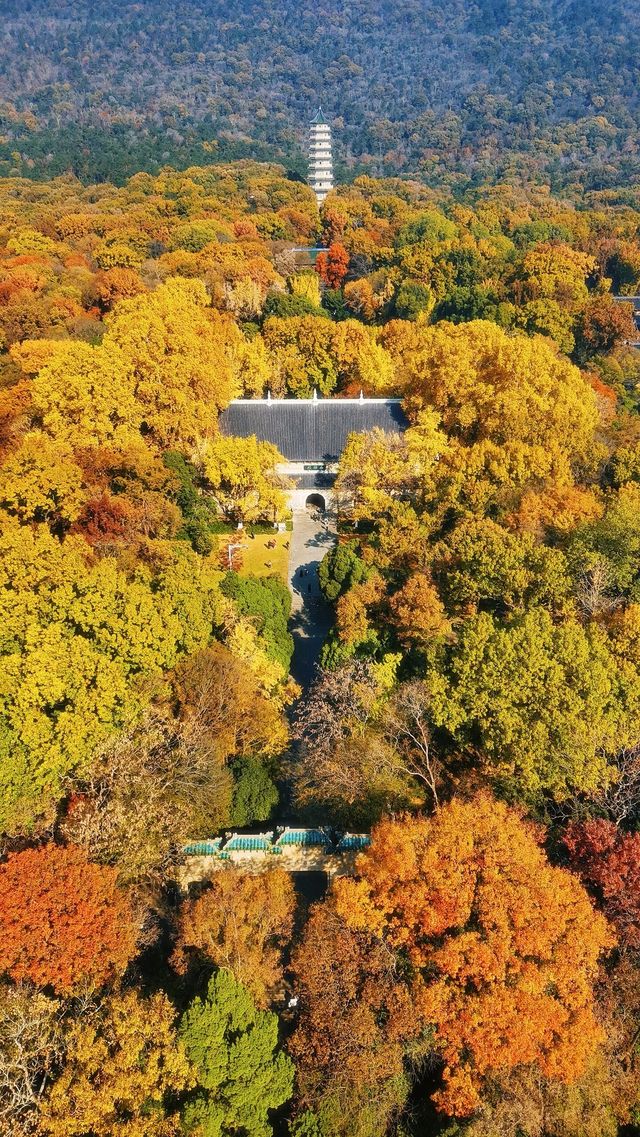 南京靈谷寺賞秋秘境